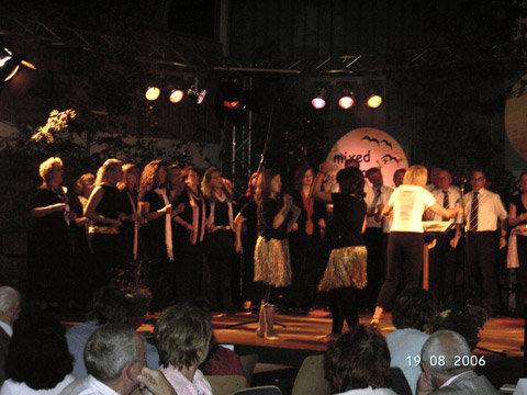 Sommernachtsfest (42)