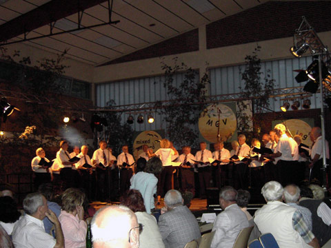 Sommernachtsfest (44)