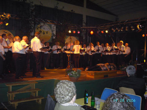 Sommernachtsfest (54)