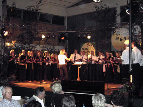 Sommernachtsfest (56)